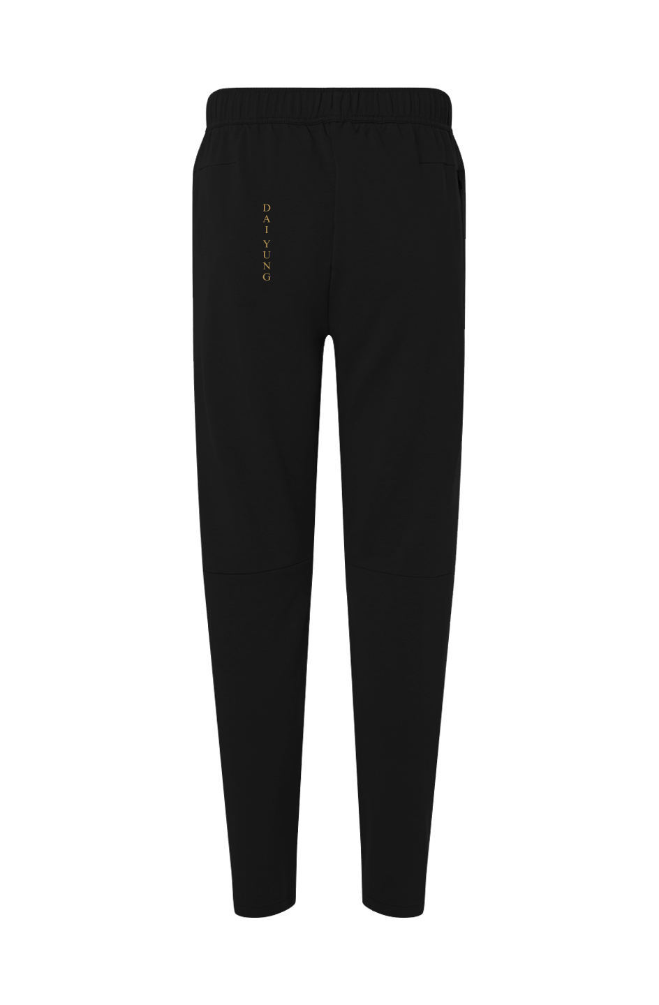 Dai Yung - Mens Perform Fleece Pants