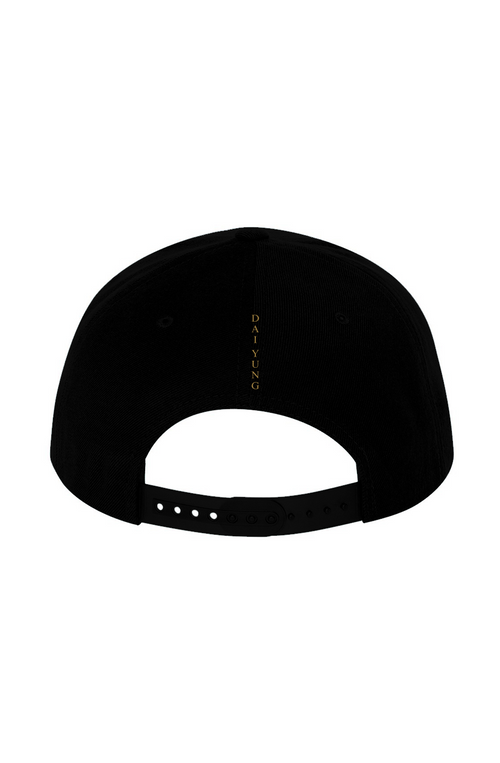 Dai Yung - Men's premium snapback